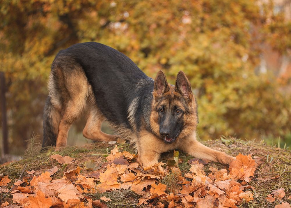 Photograph by Татьяна Рыбцева