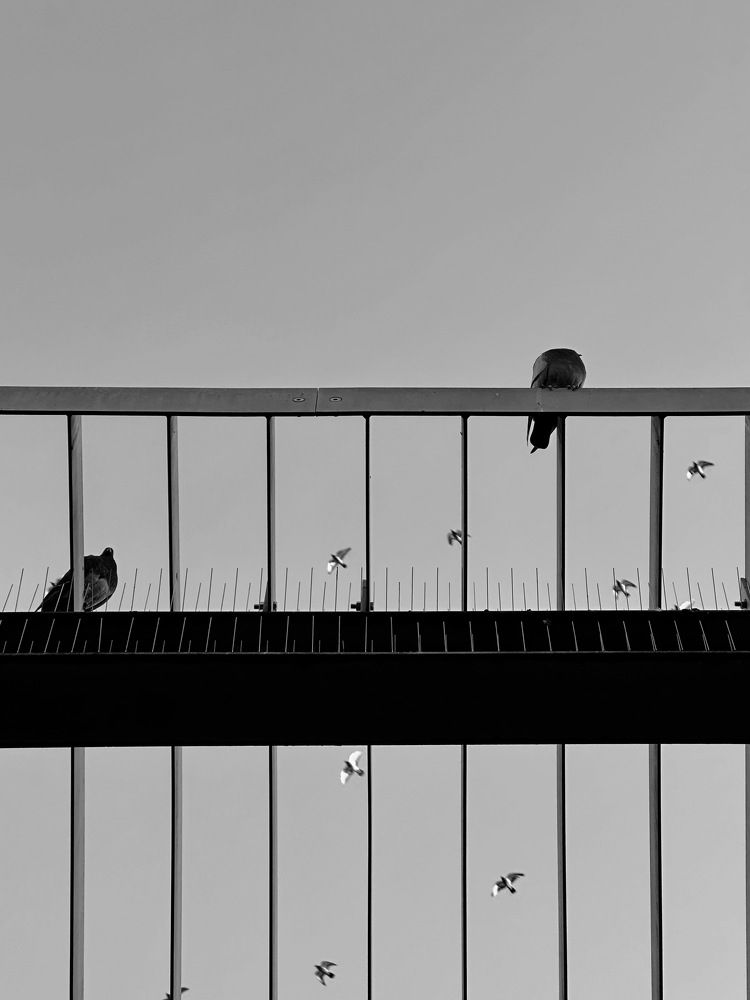 Photograph by daria eipert