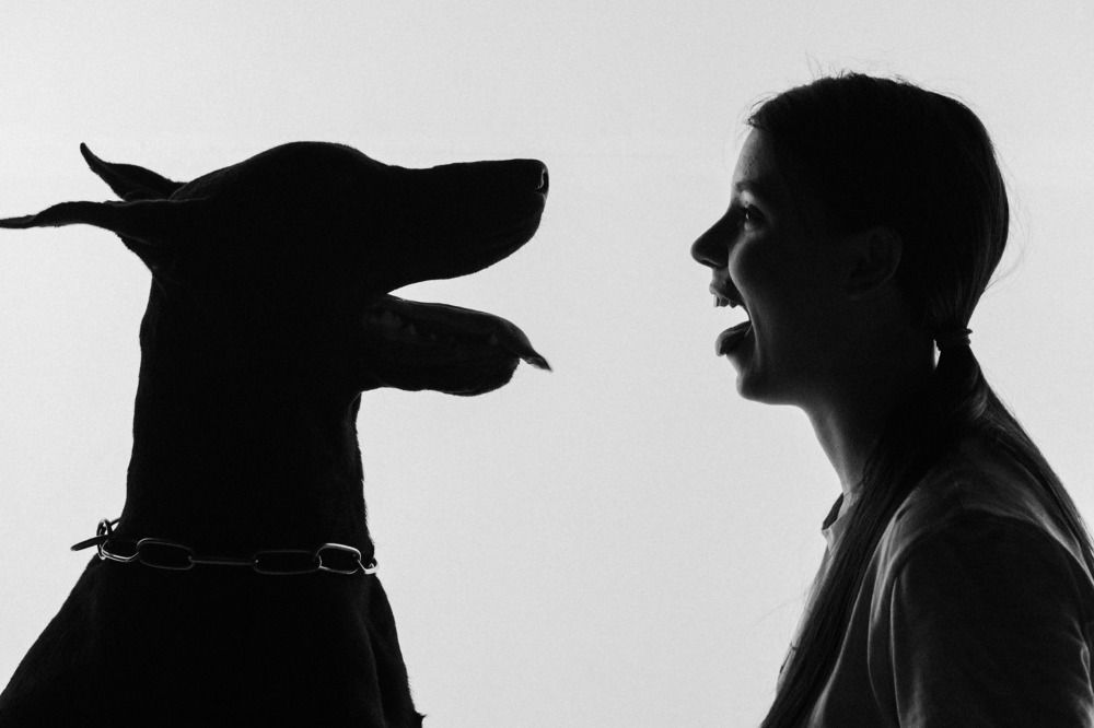 Photograph by Екатерина Степоненкова