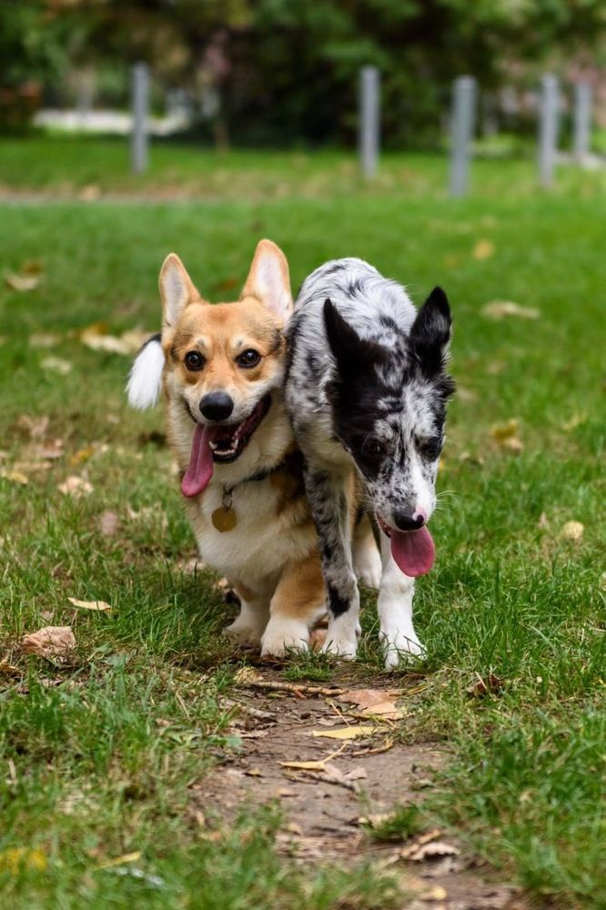 Фотография автора Наталья Старикова