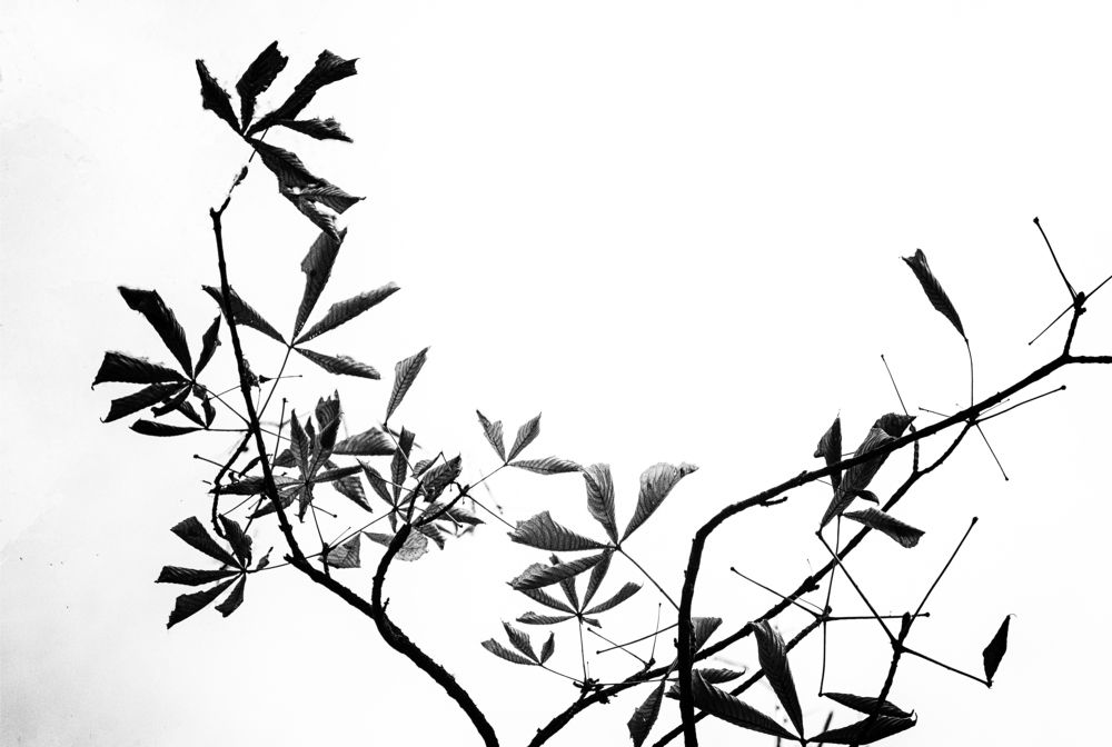 Photograph by Светлана Мельник