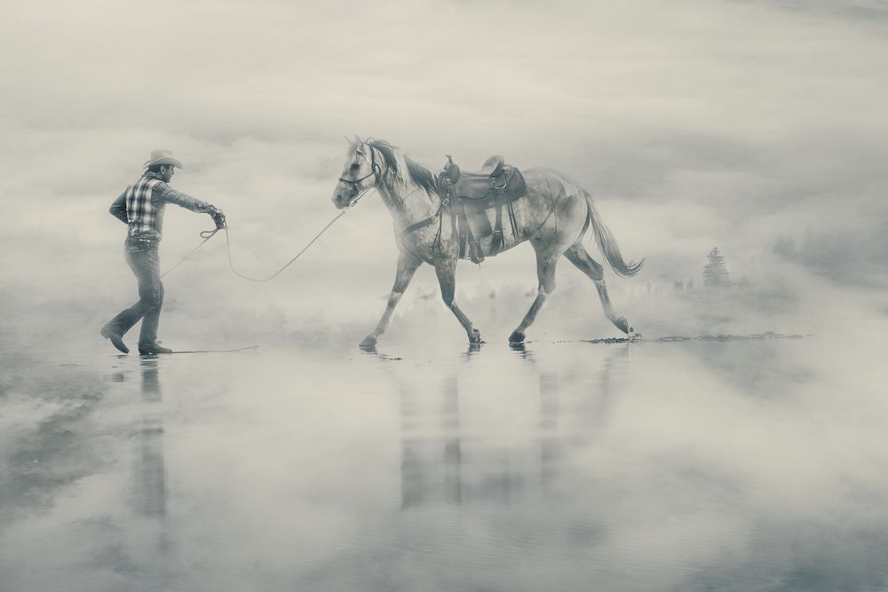 Dream of horse riding