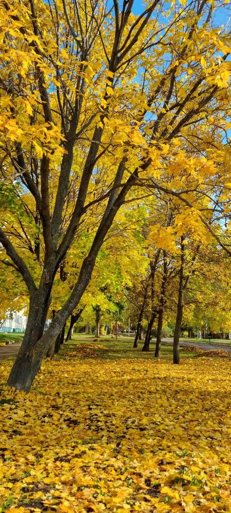 Photograph by Наталья Королева