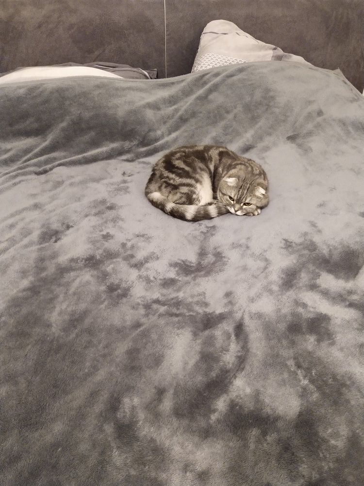 Фотография автора Inna Osminina