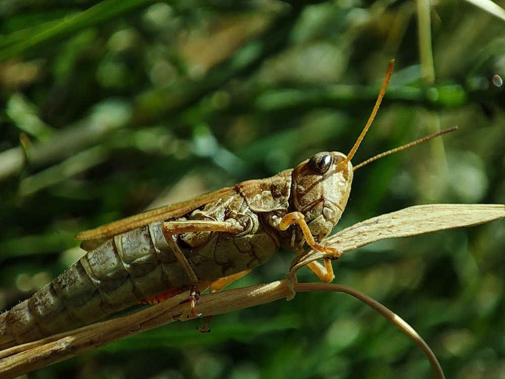 Photograph by mahdi roozbahani