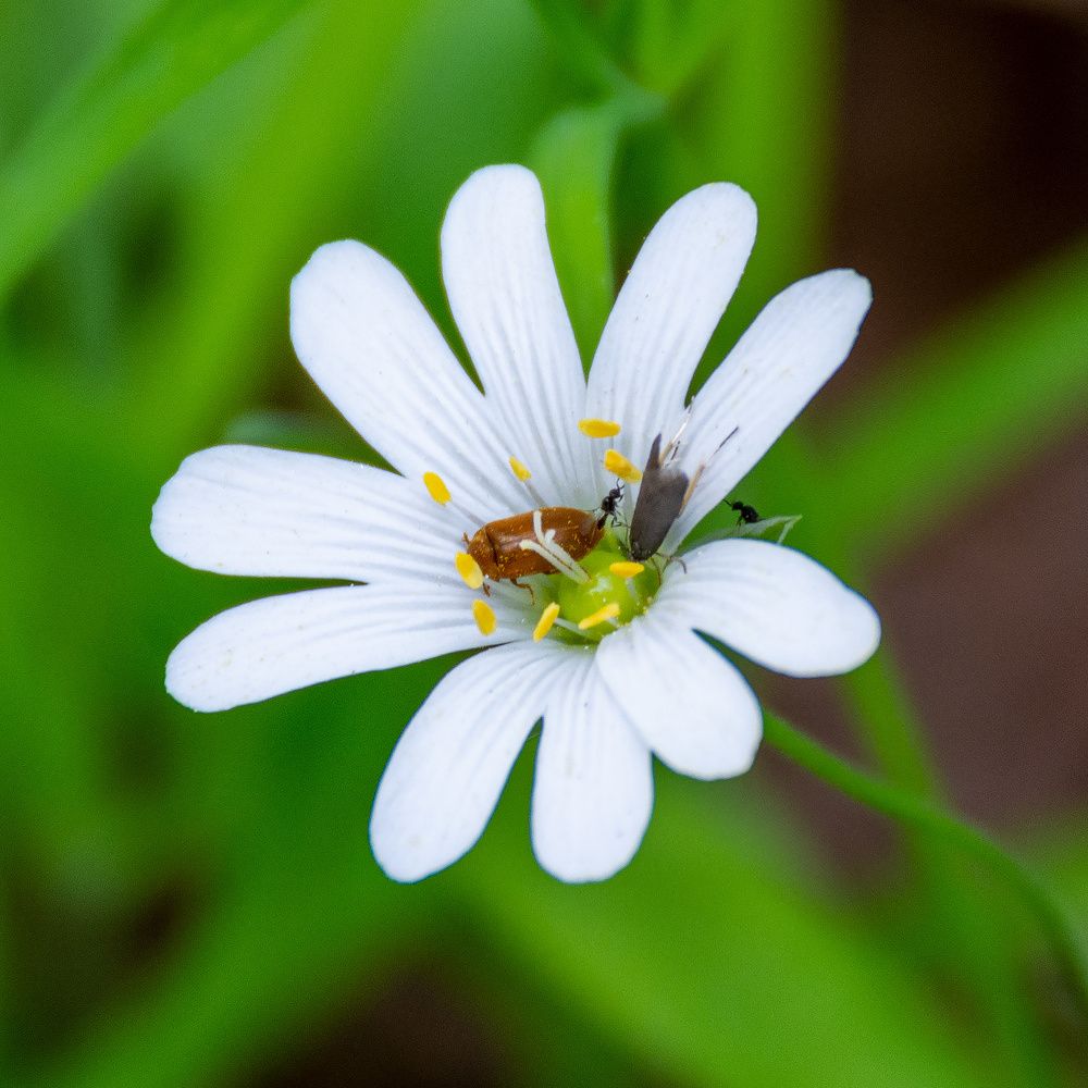 Photograph by Валерий Петухов