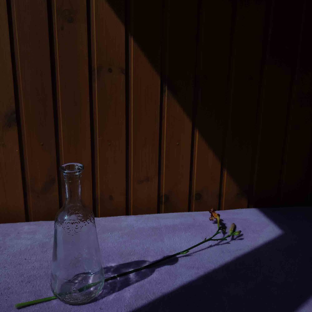 Фотография автора Татьяна Могилевец