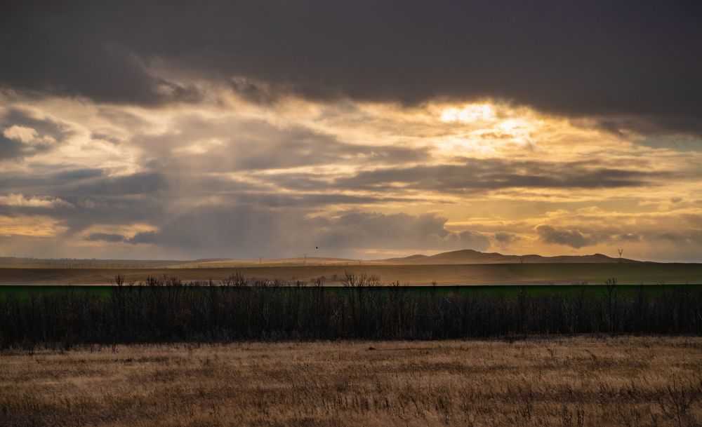 Photograph by Olga Egelnitskaya