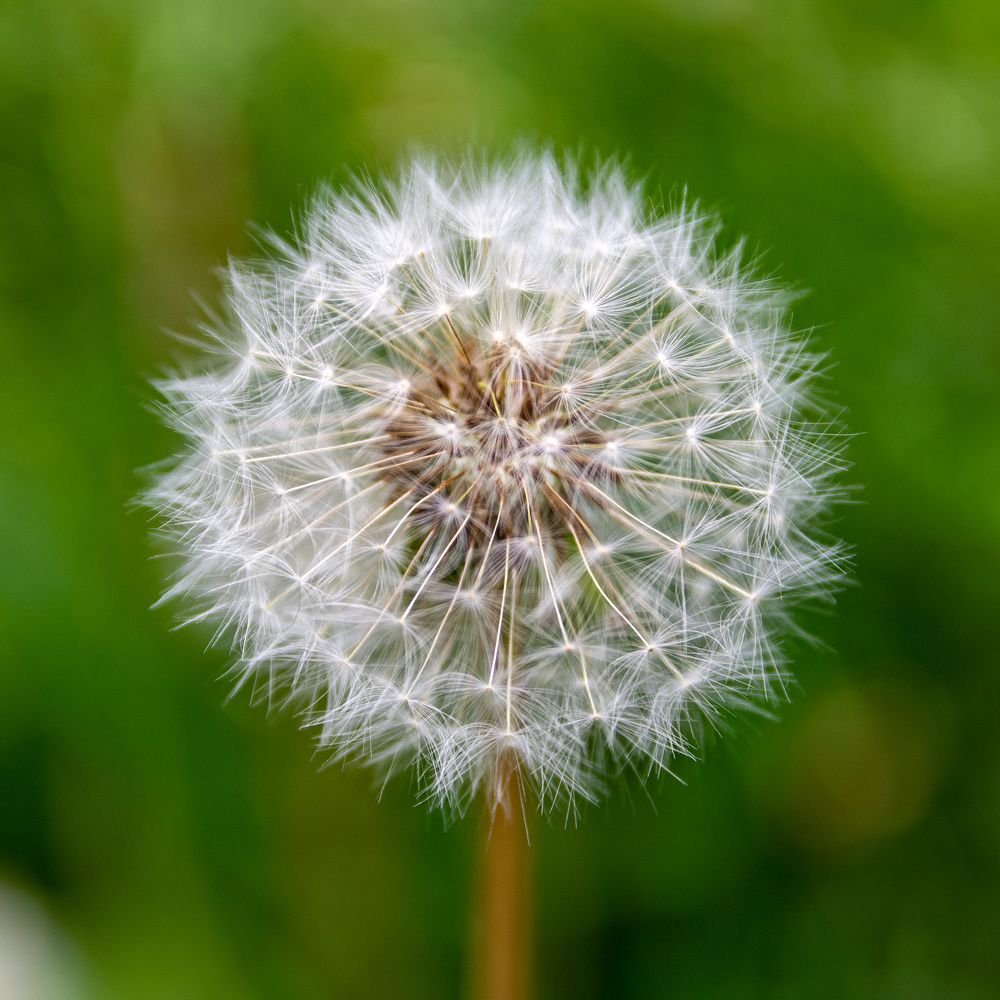 Photograph by Валерий Петухов