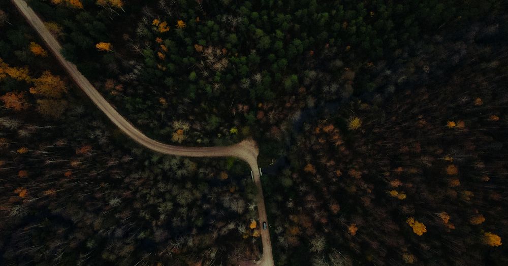 Photograph by Ольга Левакова