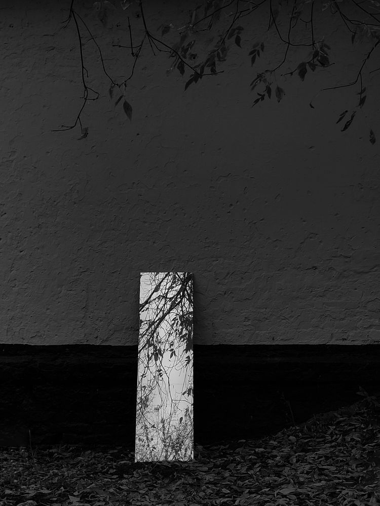 Photograph by Татьяна Аршинова