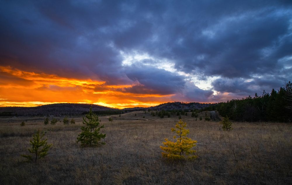 Photograph by Olga Egelnitskaya