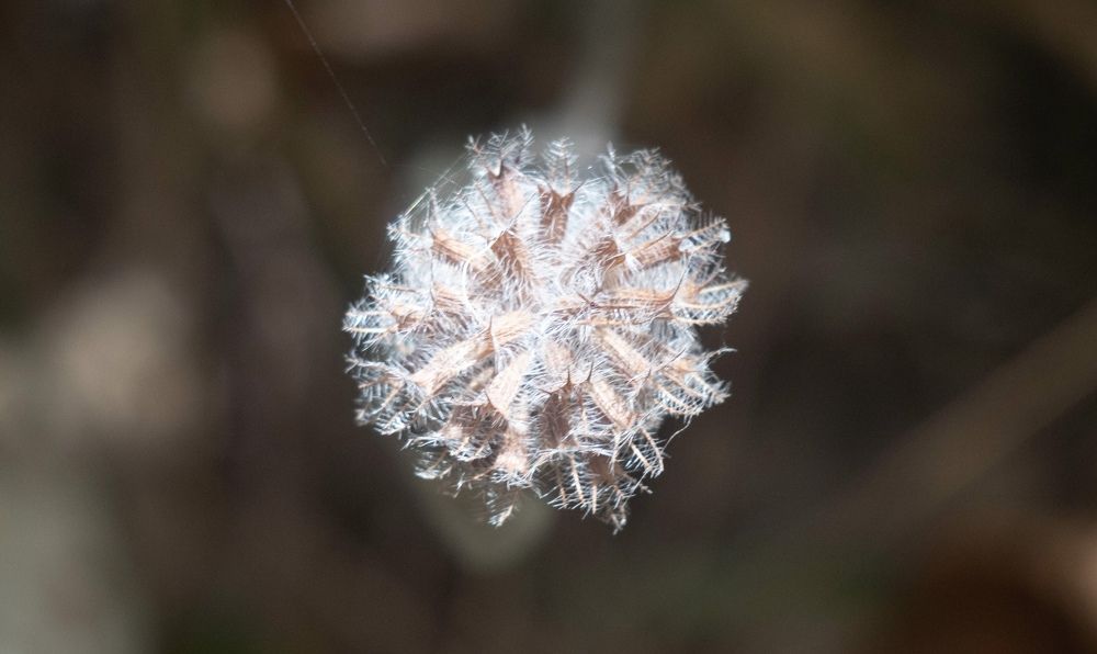 Photograph by Любовь