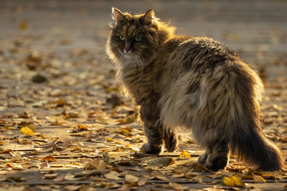 Photograph by Юлия Куликова