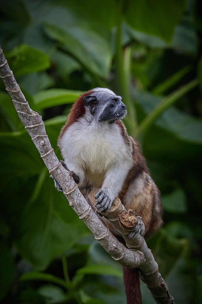 Photograph by Jean Posner