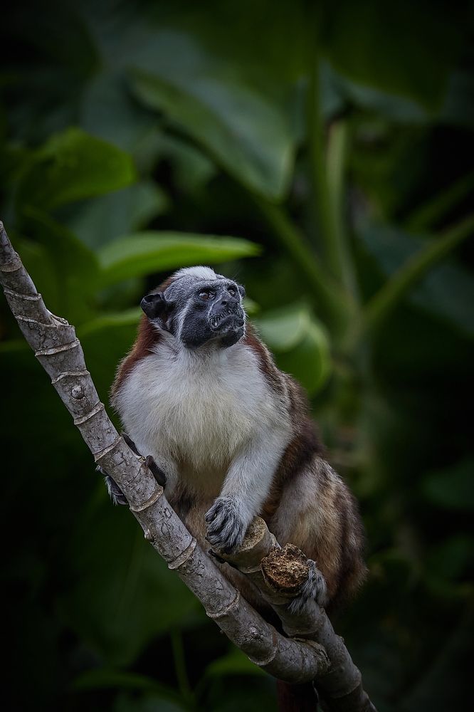 Photograph by Jean Posner