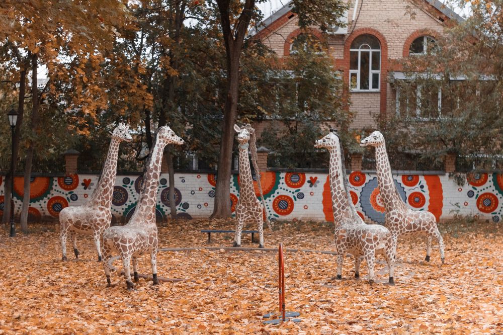 Photograph by Людмила Новосёлова