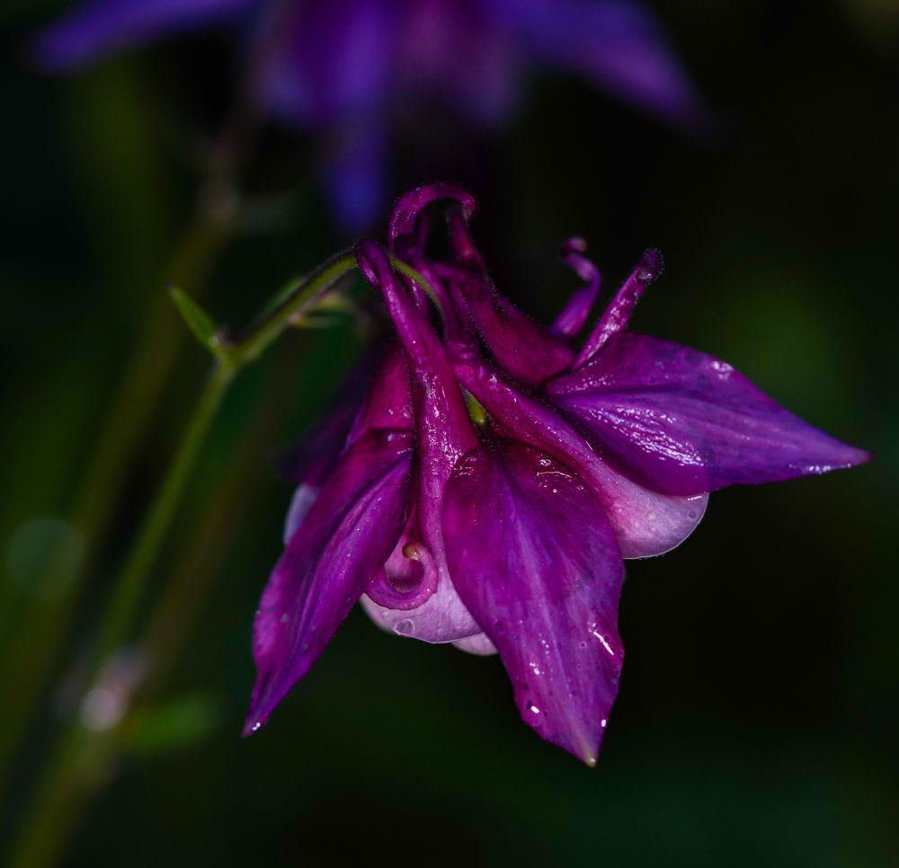 Photograph by 