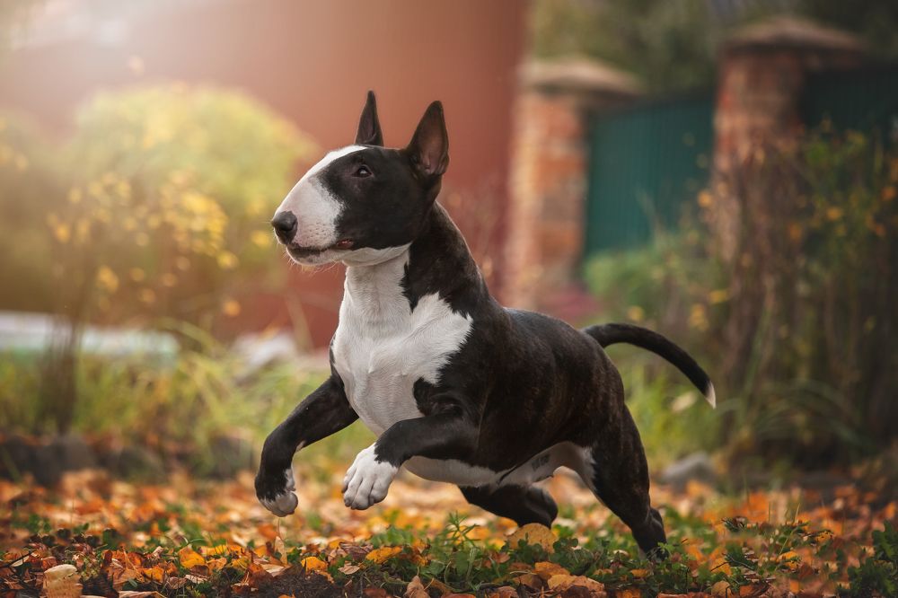 Photograph by Анна Григорьева