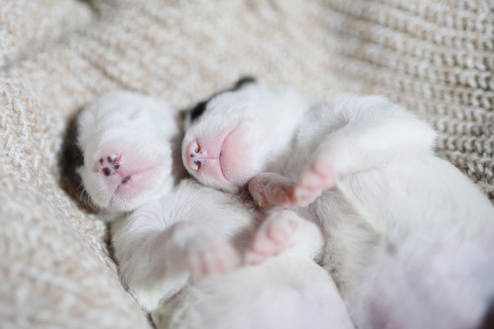 Photograph by Анна Григорьева