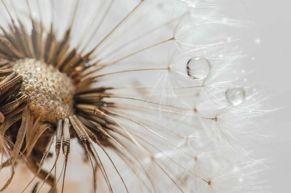 Photograph by Мария Карышева