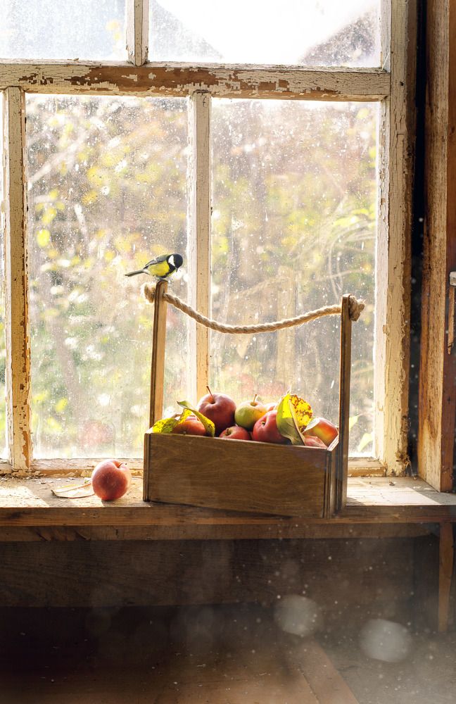 Photograph by Мария Карышева