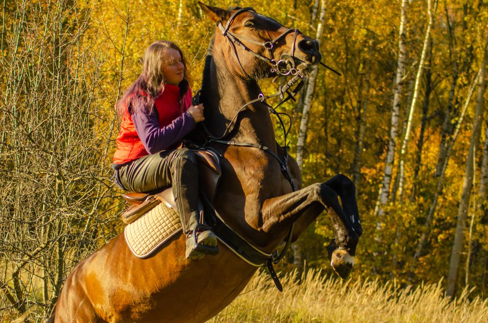 Photograph by Ольга Заповедная