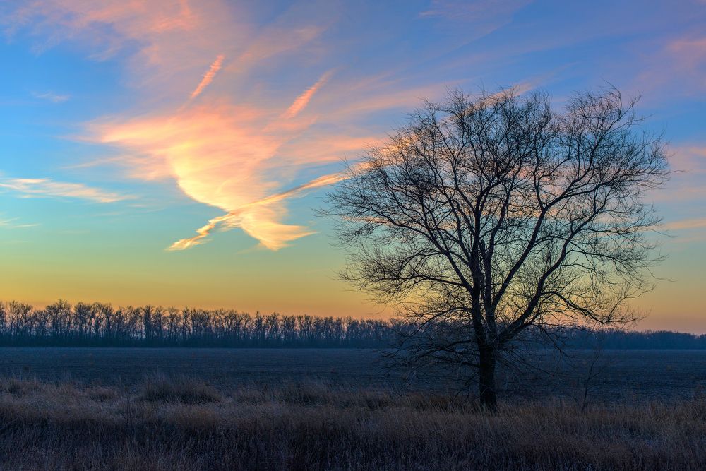 Photograph by Olga Egelnitskaya