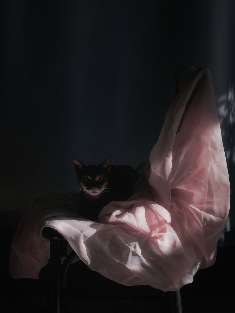 Photograph by Янтарная Елена