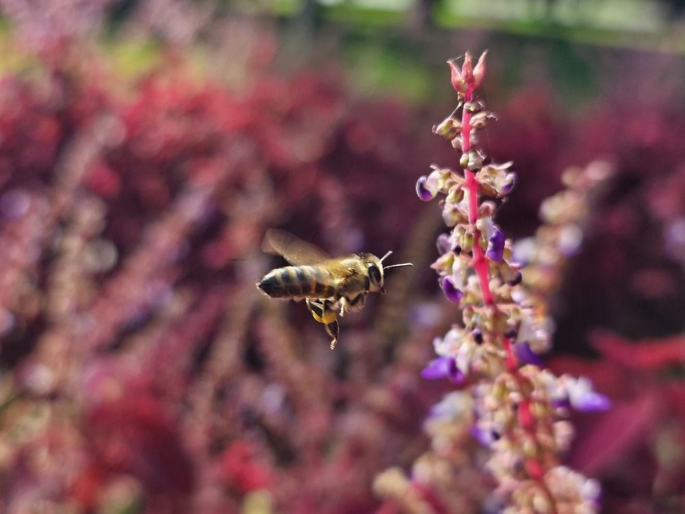 Photograph by Наталья Каплина