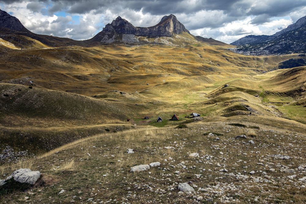 Photograph by Валентина Булкина