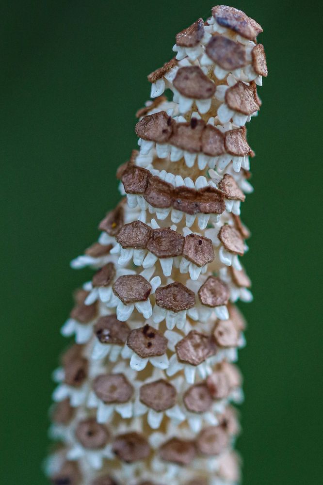 Photograph by Надежда Зайцева