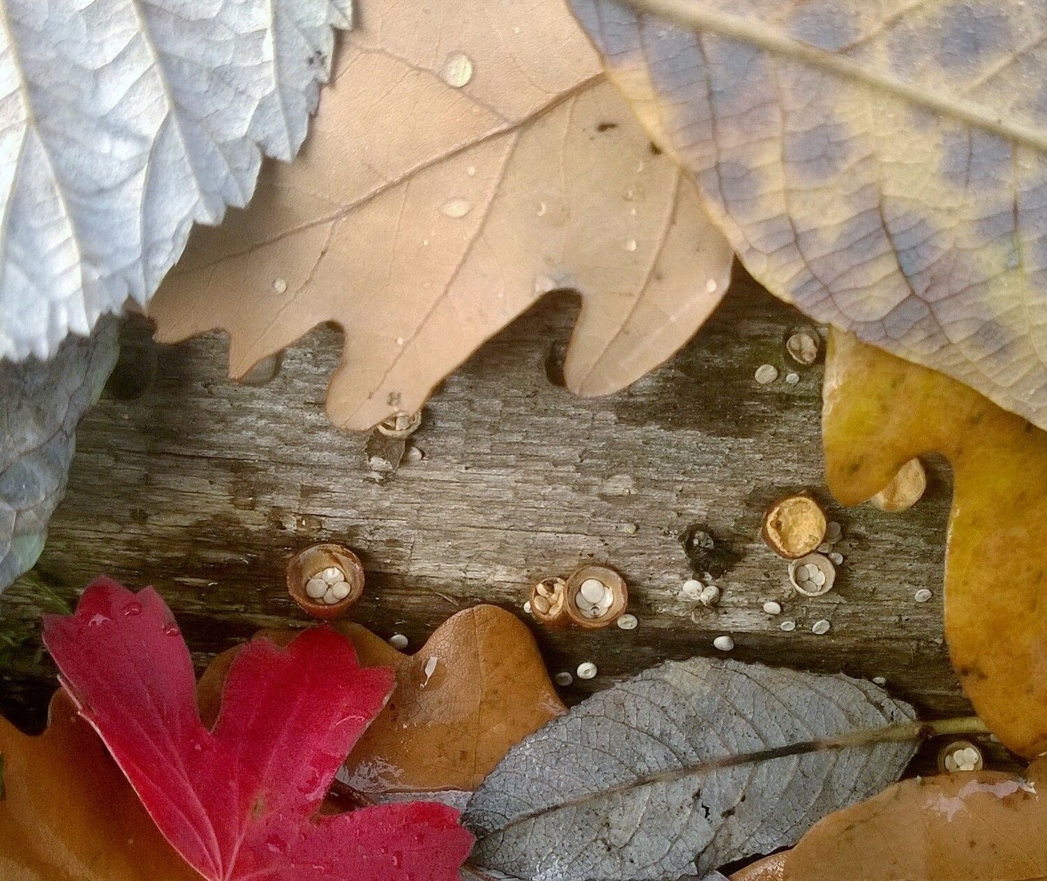Photo #9757209
