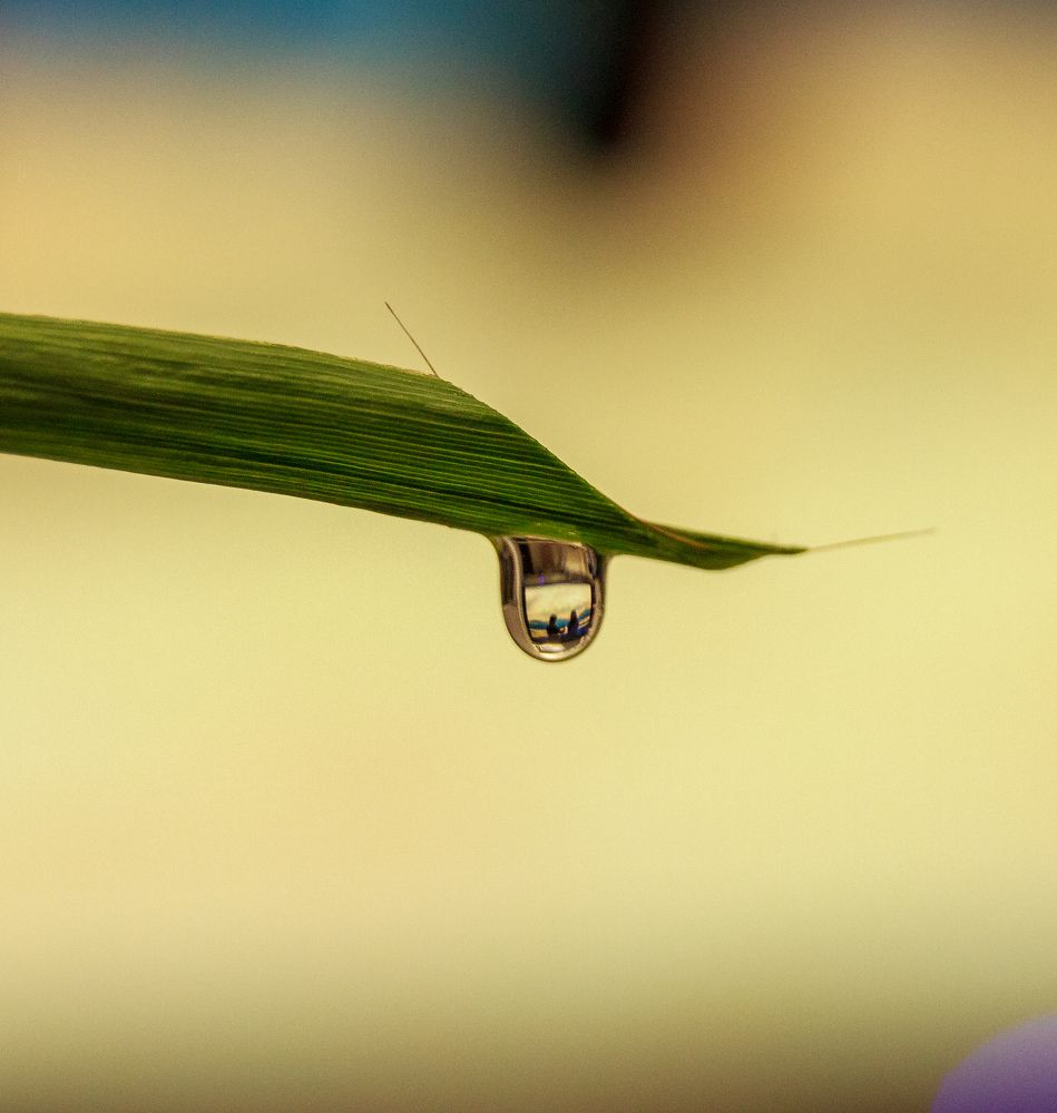 Photograph by Sergey Tsubanov