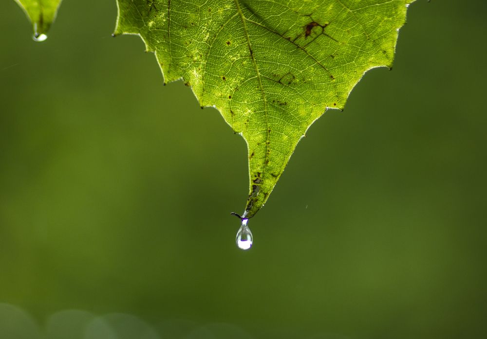 Photograph by Sergey Tsubanov