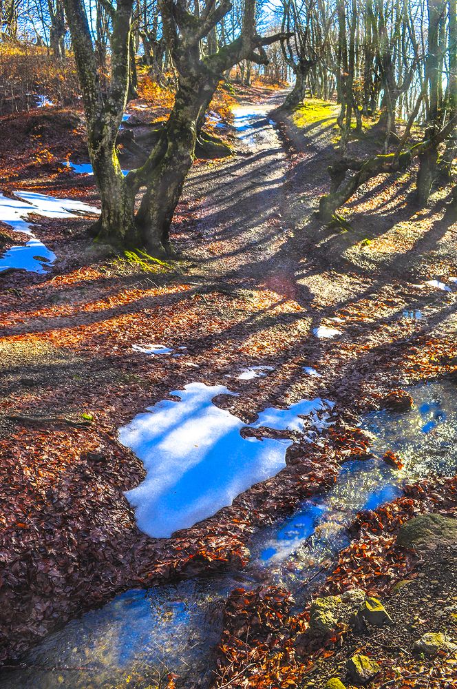 Photograph by Валерий Рябцев