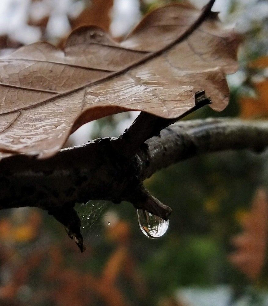 Photograph by Ольга Белик