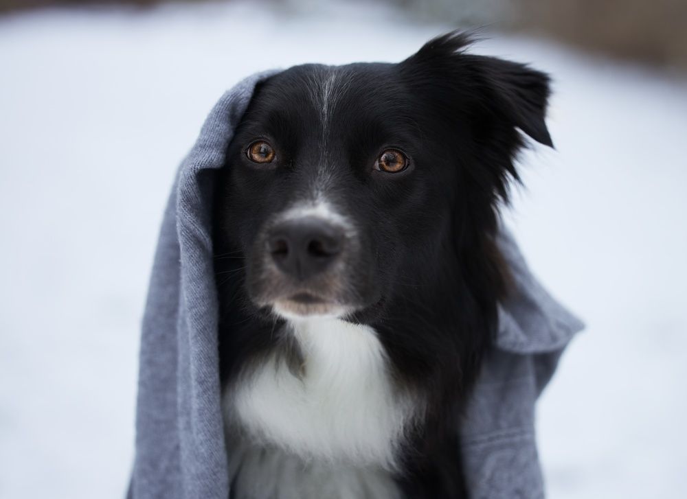 Photograph by Monika Maciejewska