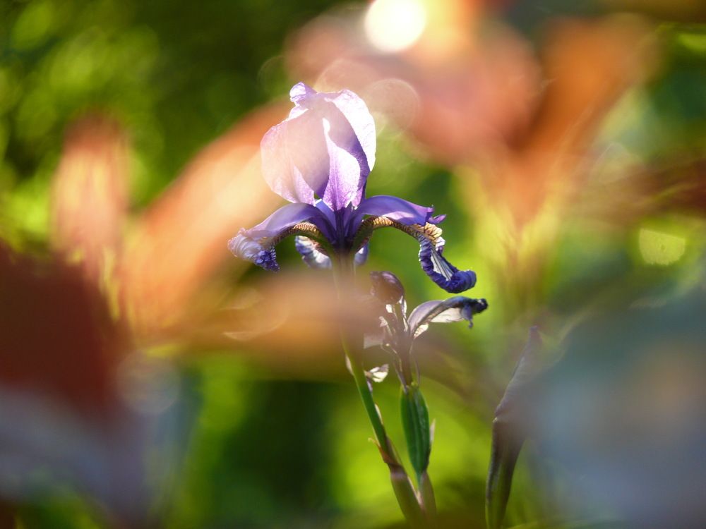 Photograph by Василий