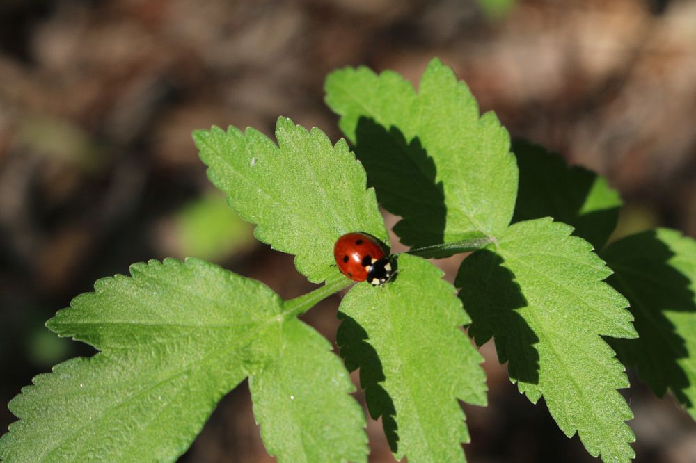 Photograph by Софья Белоногова