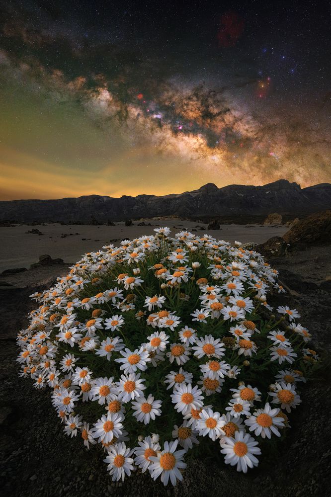 Photograph by Andrea Curzi