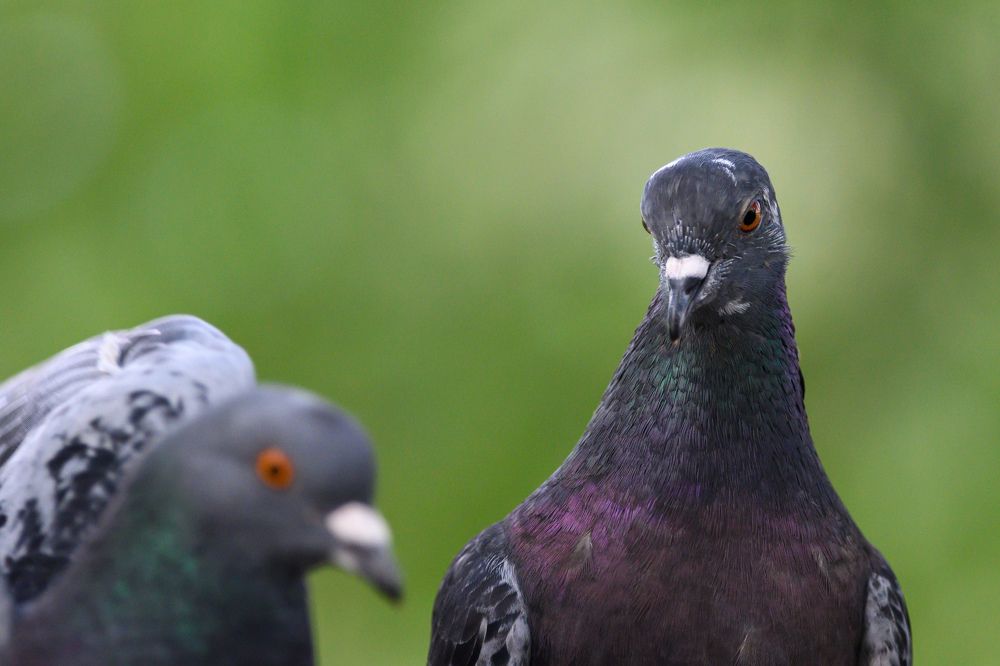 Фотография автора Мария Уланова