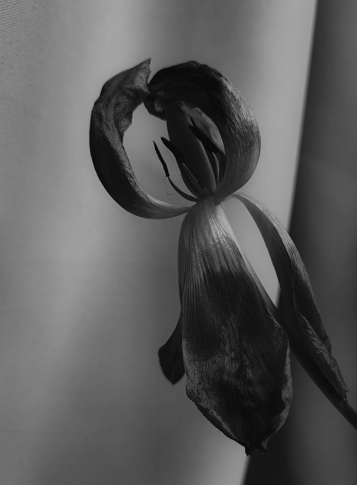 Фотография автора Мария Филиппова