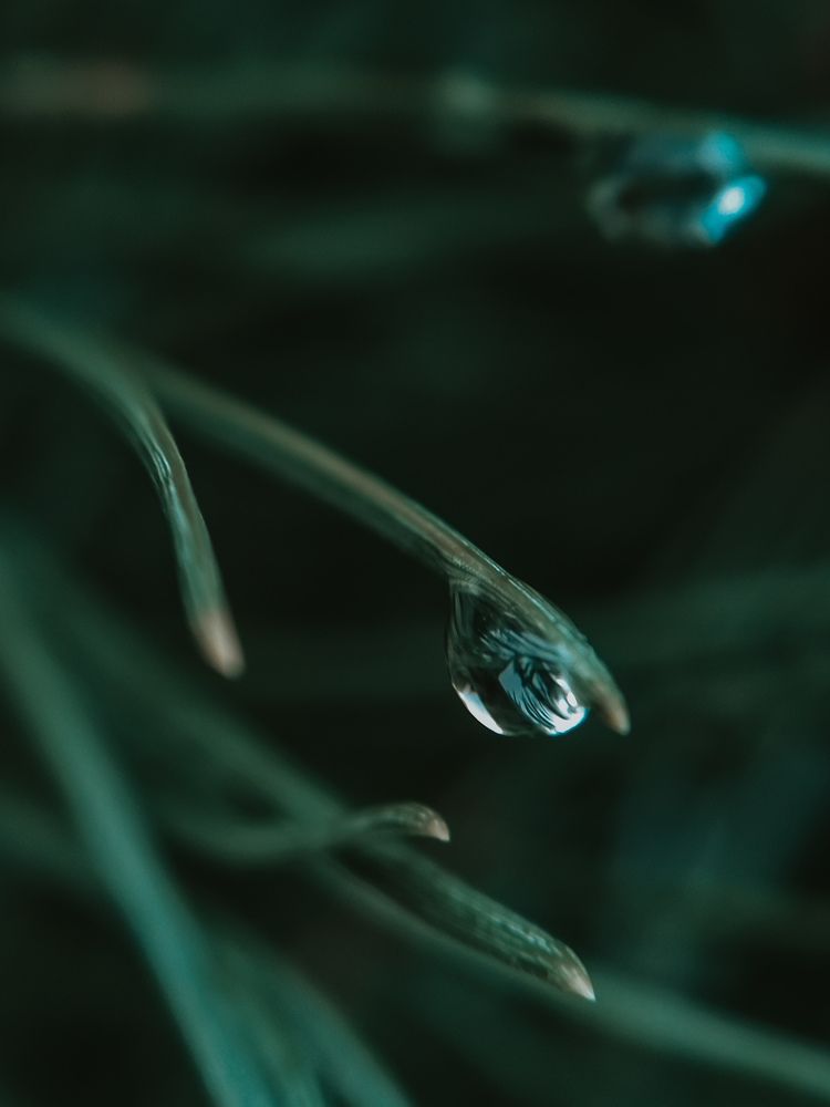 Photograph by Виктория Качан