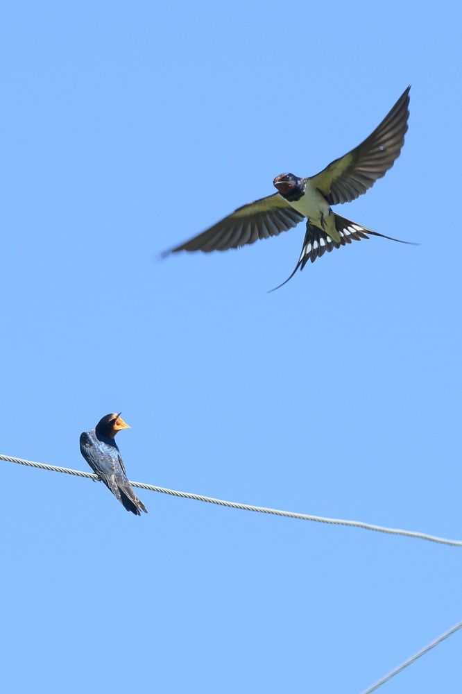 Фотография автора Мария Уланова