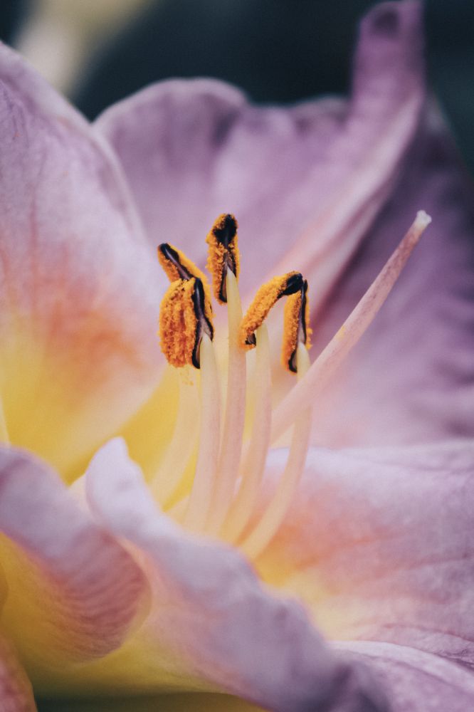 Фотография автора Юрий Серов