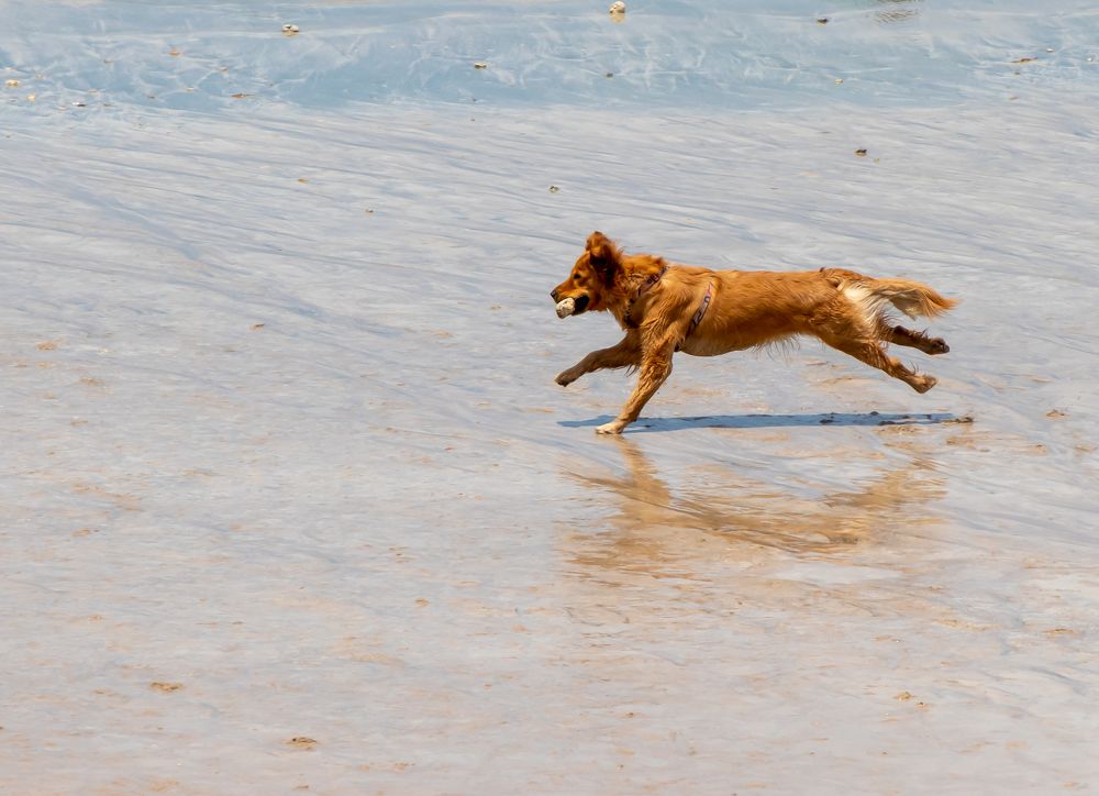 Photograph by Everton Medeiros