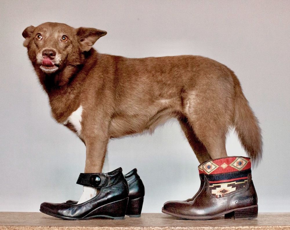 Фотография автора Galina Sa