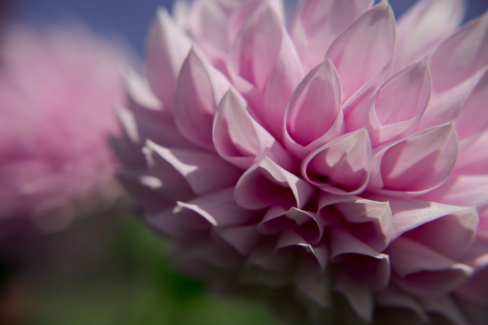 Фотография автора Войнов Дмитрий