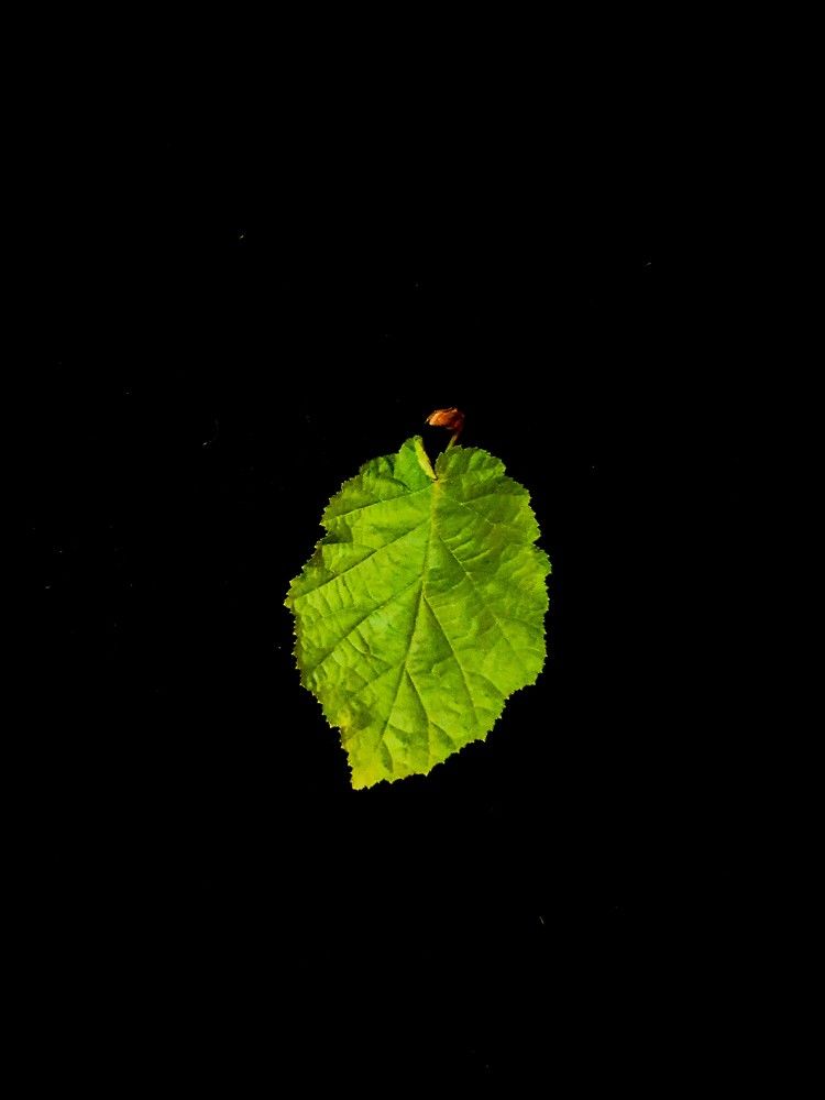 Photograph by Яна Галимуллина